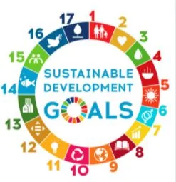 Road To Sustainability